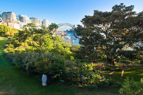 Wendy's Secret Garden